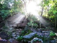 03-Backyard Landscaping